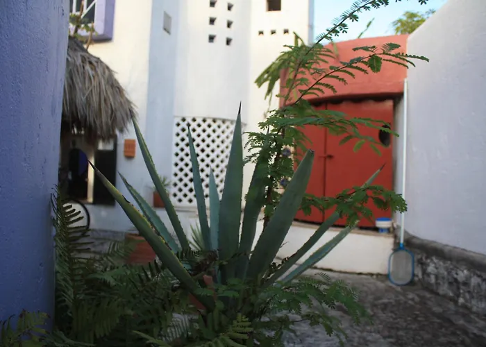 Amaranto & 4* Cozumel