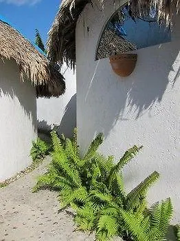 Amaranto & 4* Cozumel