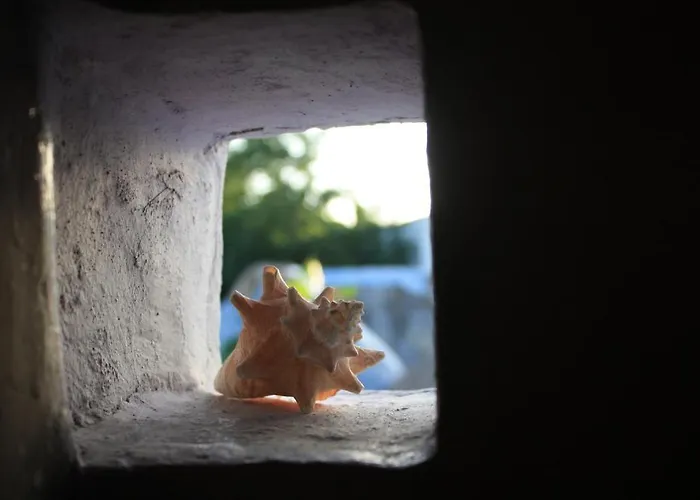 Amaranto & Cozumel